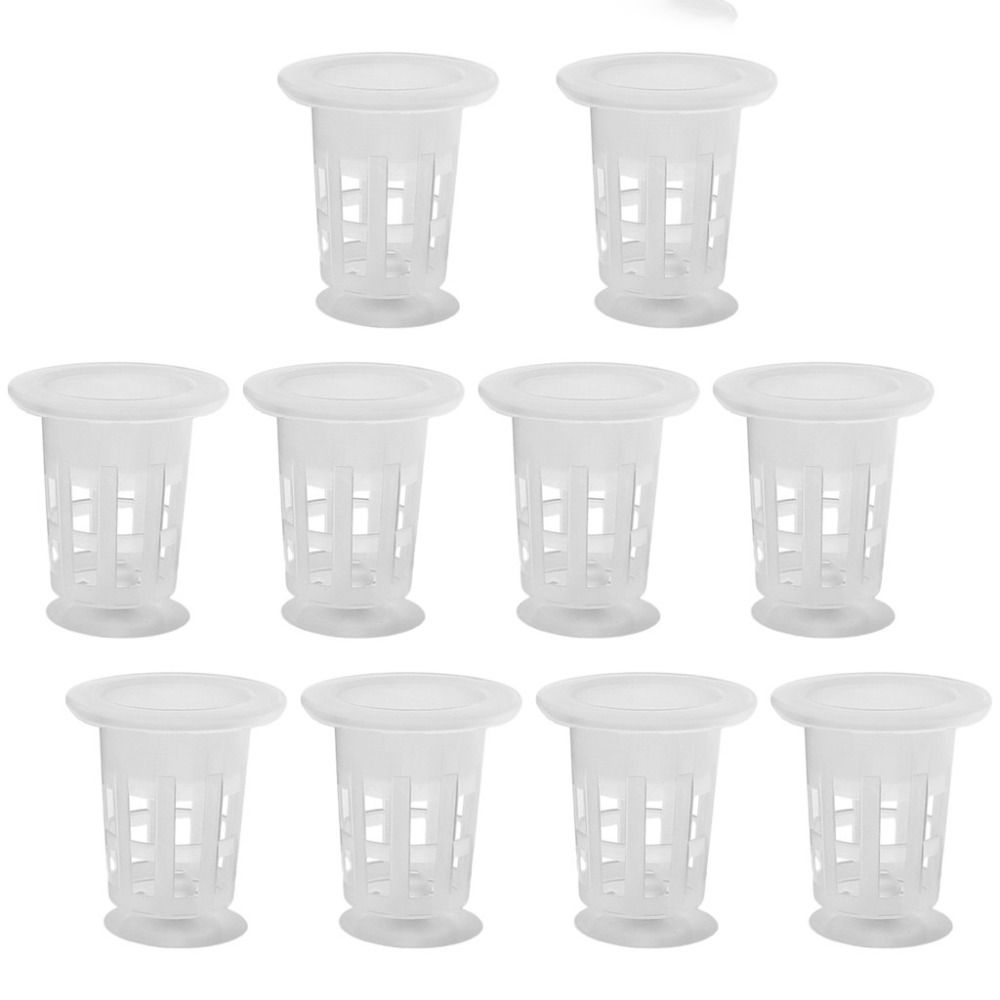 10Pcs Transparent Plant Hydrop - đánh giá và giá Hydroponic Grow Pod