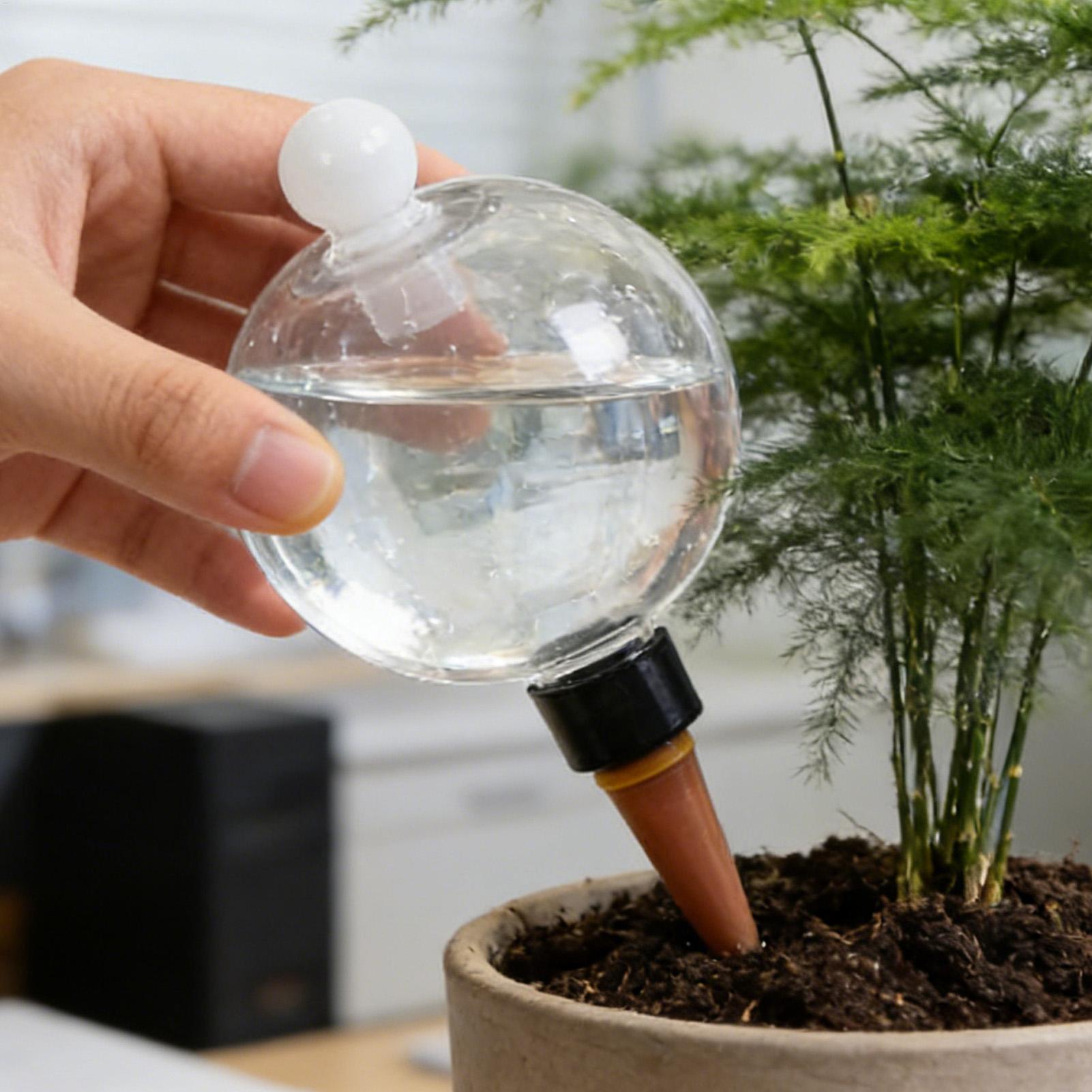 Plant Watering Bulbs 4pcs 500m - đánh giá và giá Plant Sensor