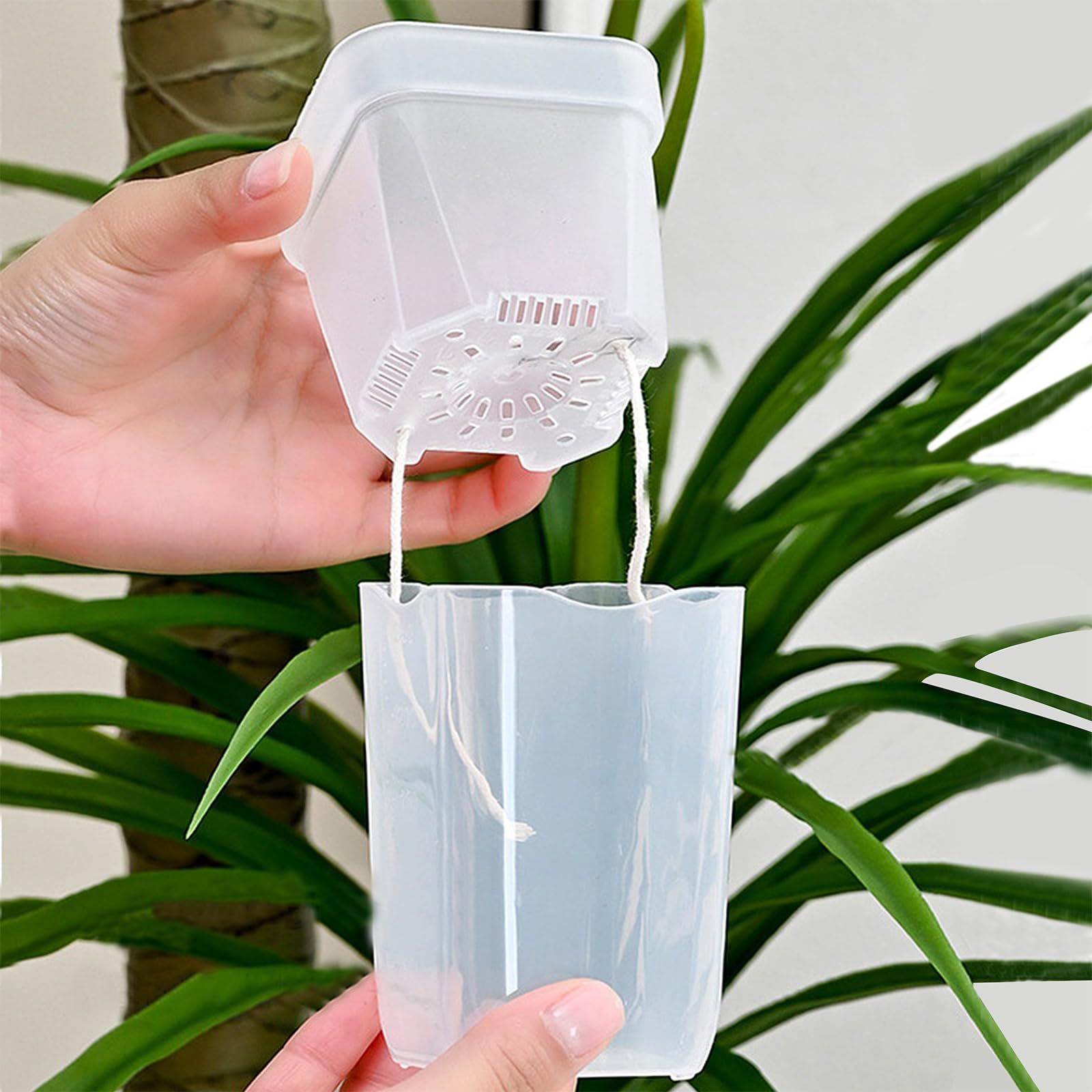 16/32 Pack Self-Watering Plant - đánh giá và giá Automatic Watering