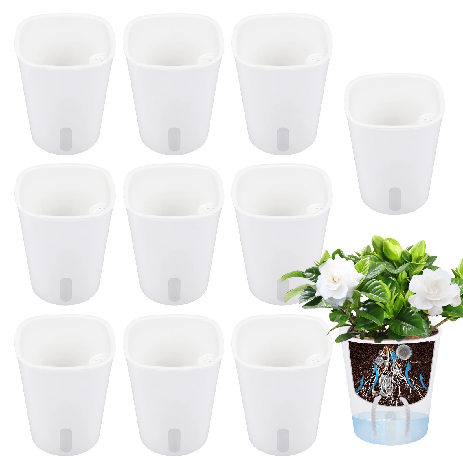 10 Pcs Self Watering Planter L - đánh giá và giá Hydroponic Grow Pod