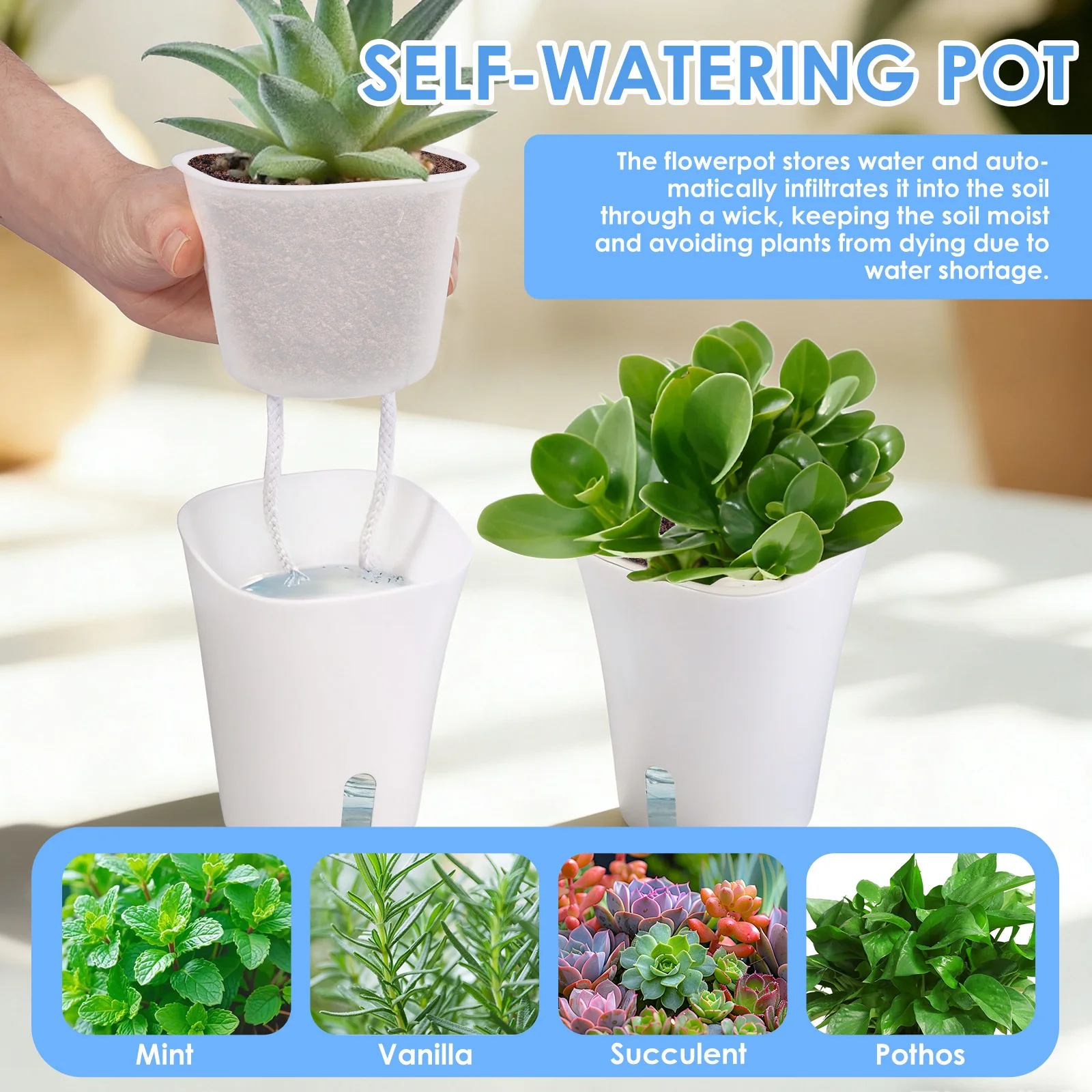 10 Pcs Self Watering Planter L - đánh giá và giá Hydroponic Grow Pod