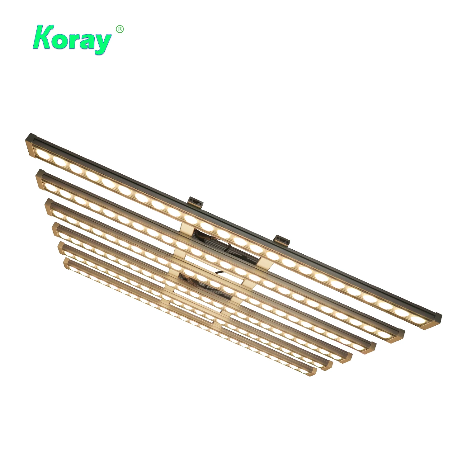 Koray 900W Indoor full spectru - đánh giá và giá Grow Light Led
