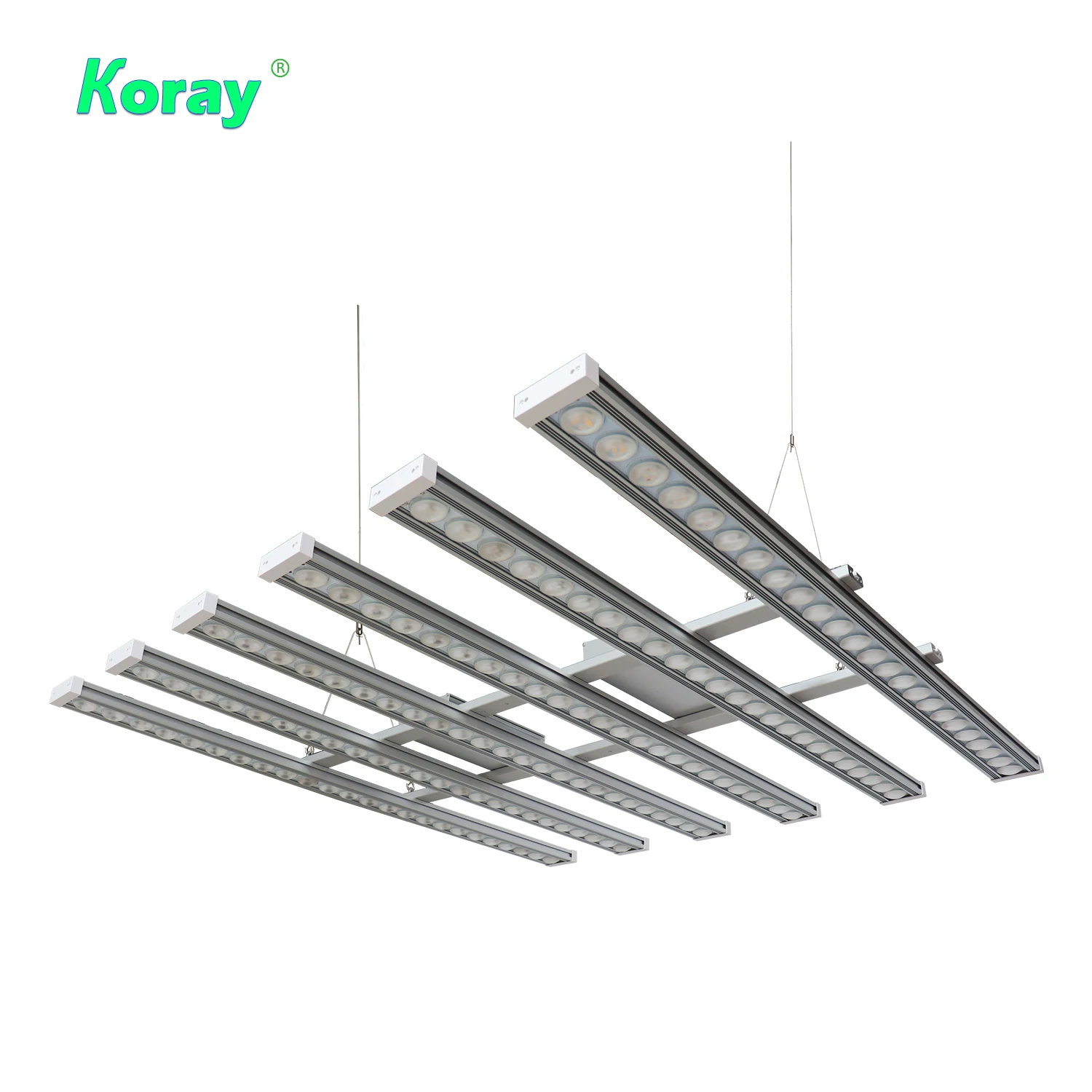 Koray 900W Indoor full spectru - đánh giá và giá Grow Light Led